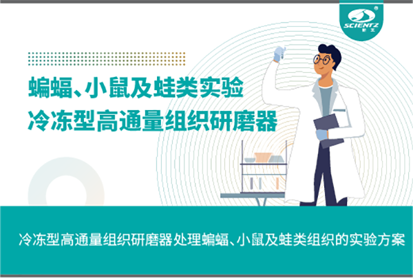 冷凍型高通量組織研磨器處理蝙蝠、小鼠及蛙類組織的實驗方案