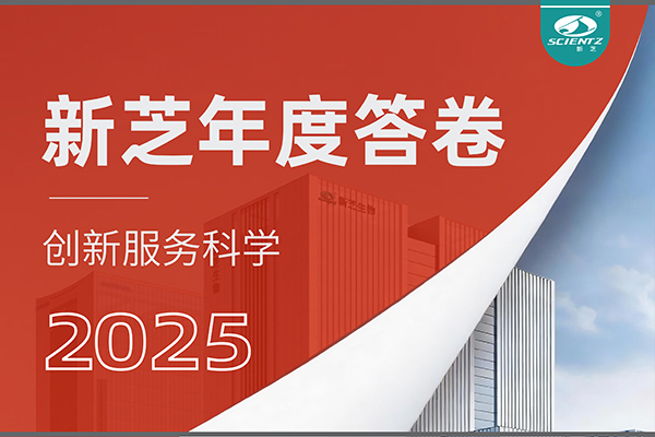 「新芝2025年度答卷」以深耕赴山海，以創新啟新程！